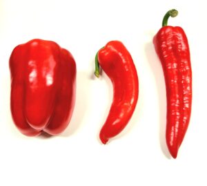 whole red peppers used to make paprika powder