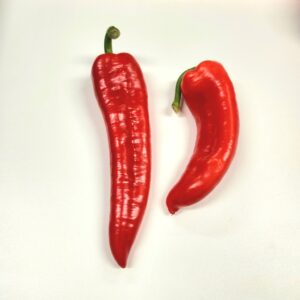 dried red peppers for making homemade paprika powder