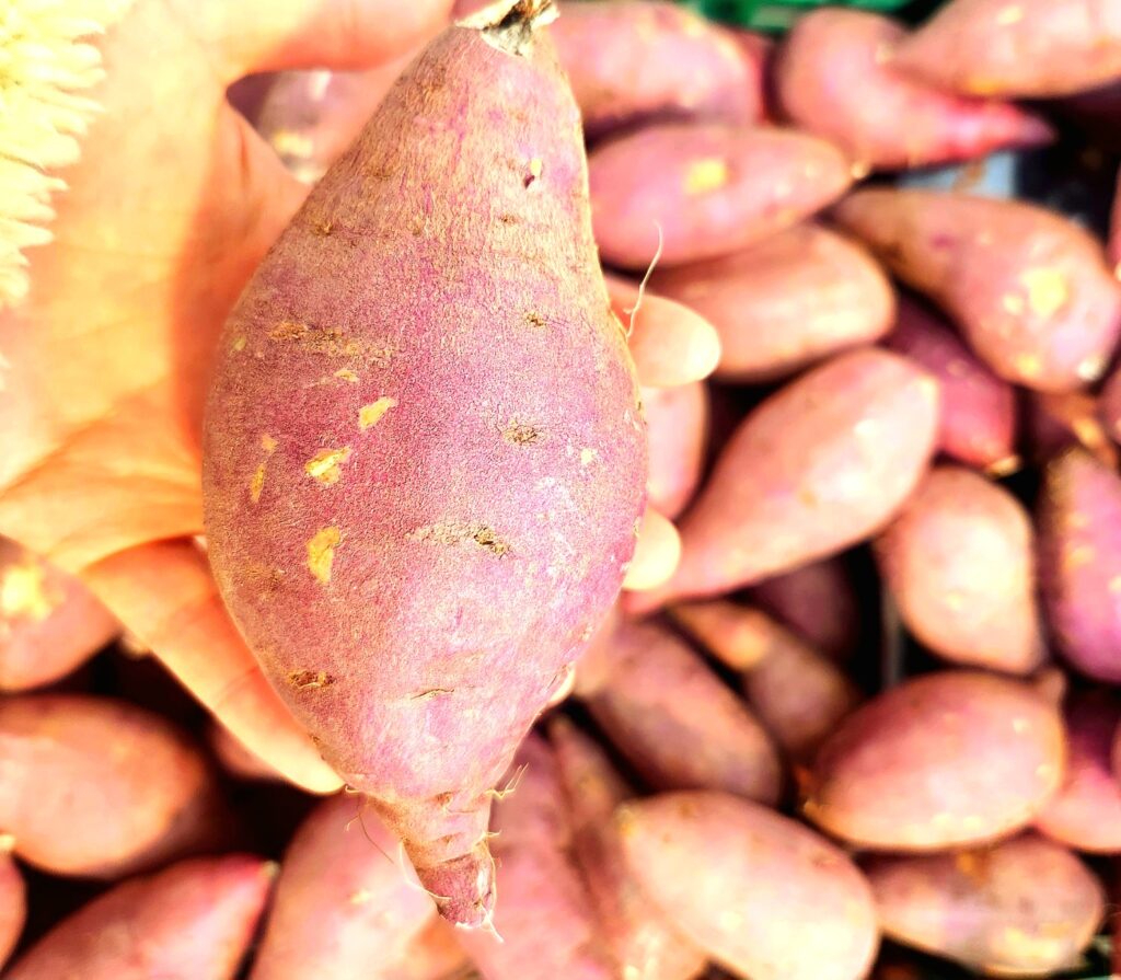 fresh sweet potatoes close-up showing raw sweet potatoes rich in fiber and vitamins