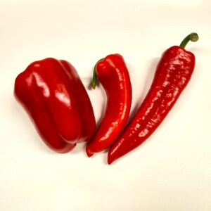 fresh red peppers the main ingredient in paprika powder