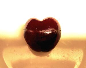 single fresh cherry close up natural sweet snack for weight loss