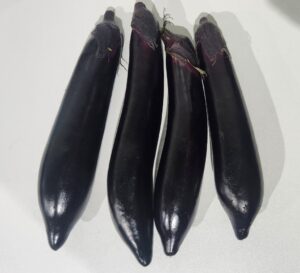 Fresh whole eggplant low glycemic blood sugar