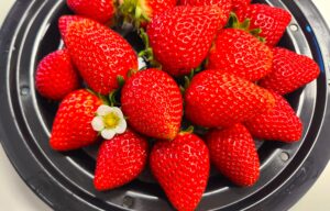fresh strawberries in basket with flower low calorie fruit for weight loss