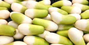 fresh Korean winter radish harvest piled together at a market