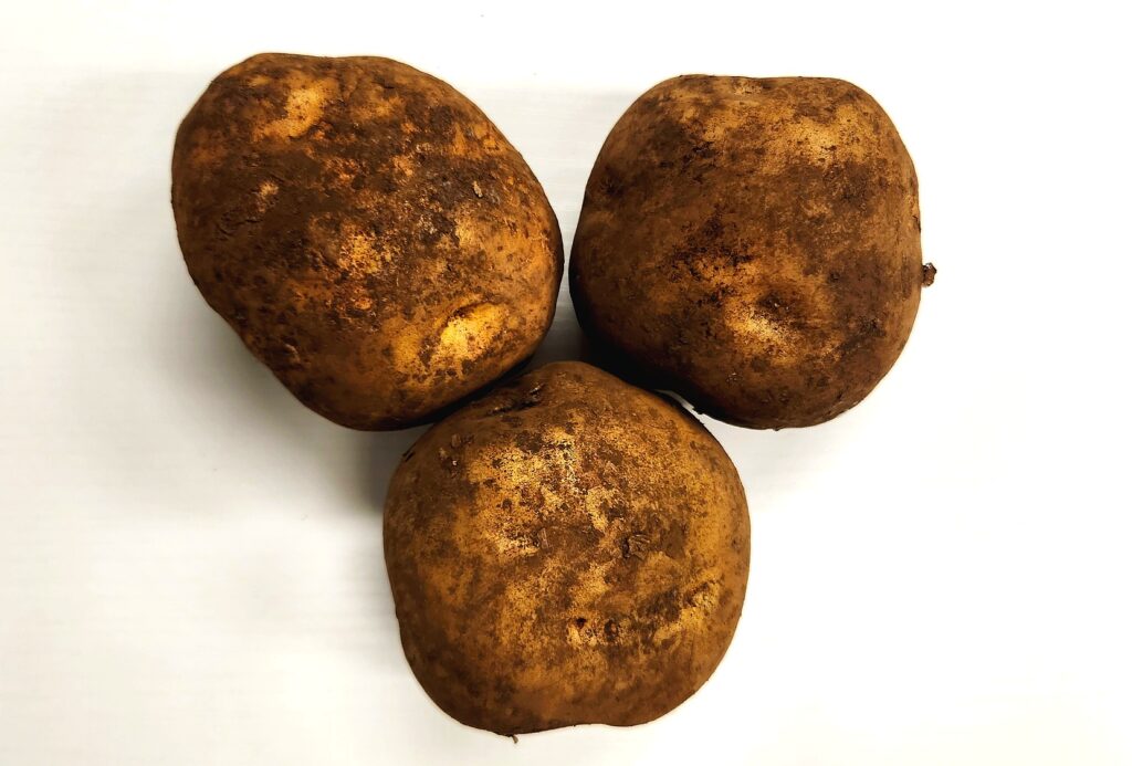 Three fresh organic potatoes ready for juicing to highlight raw potato juice benefits